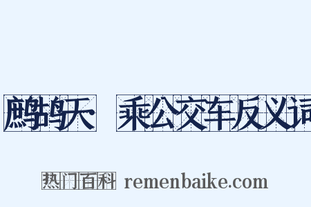 鹧鸪天·乘公交车反义词是什么意思的图片